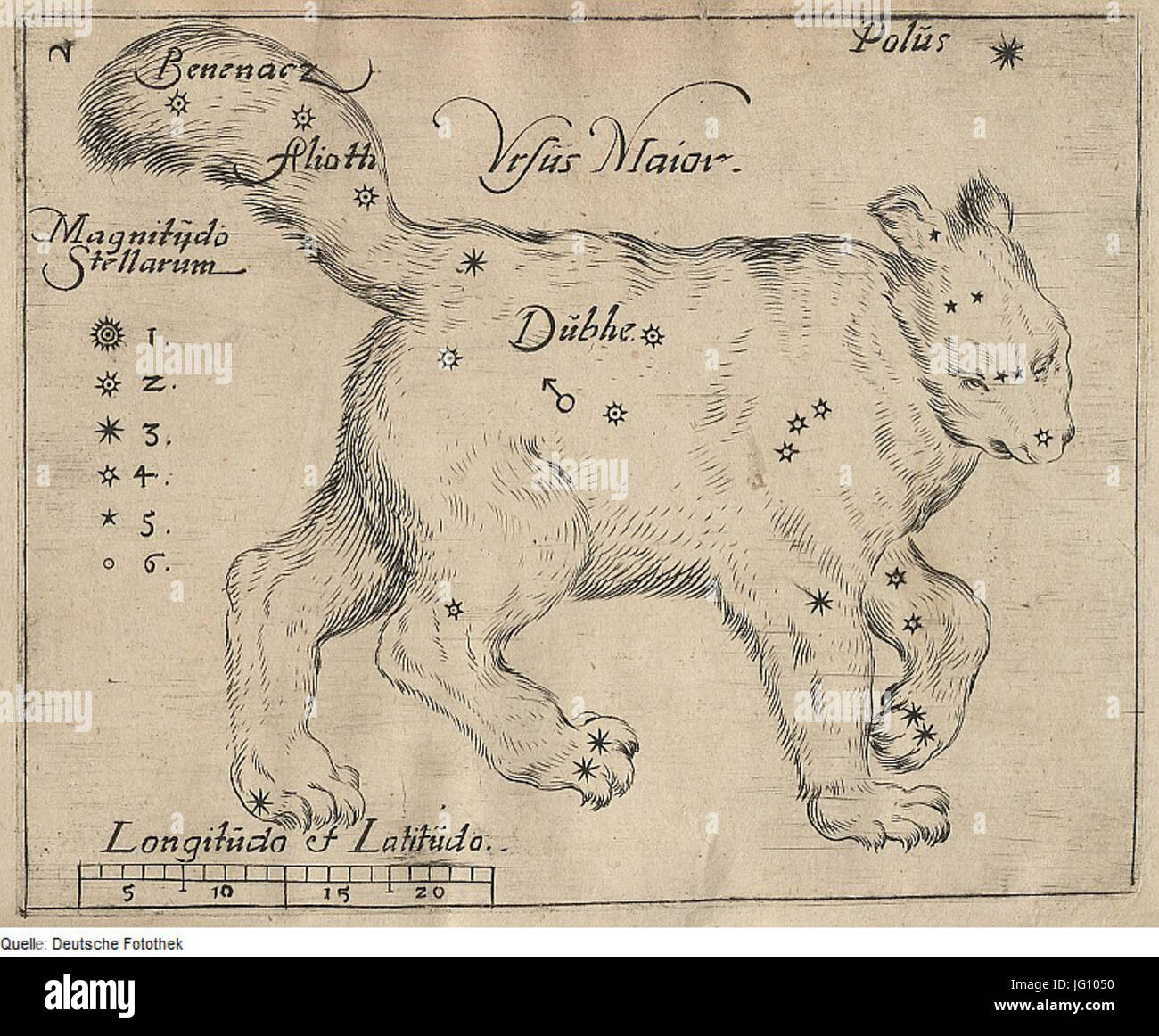 Fotothek df tg 0004399 Astronomie 5E Sternbild 5E Stern Foto Stock