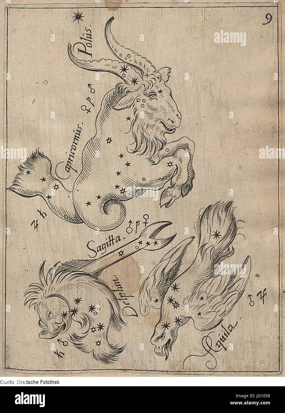 Fotothek df tg 0004406 Astronomie 5E Sternbild Foto Stock