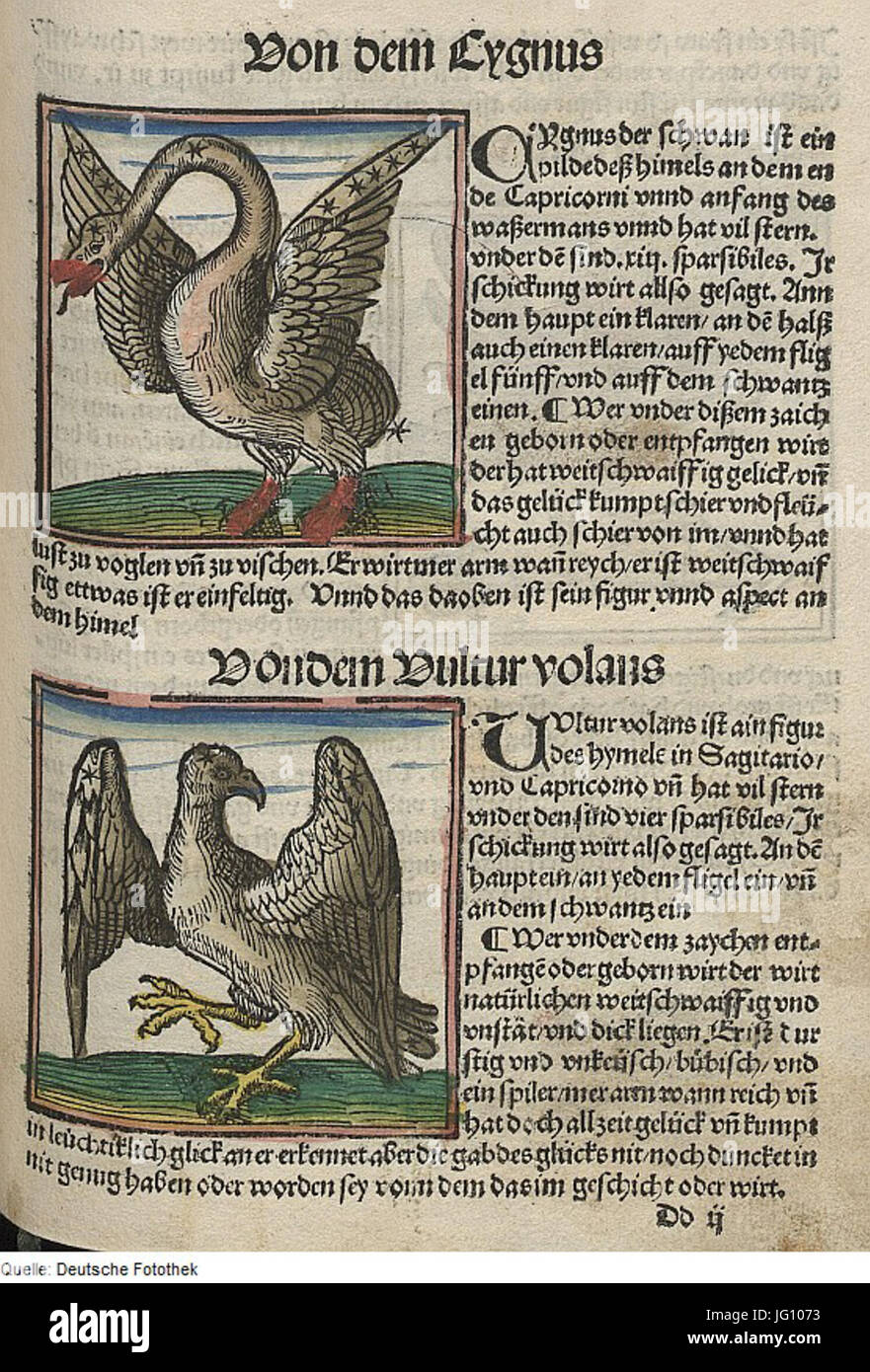 Fotothek df tg 0004450 Astronomie 5E Sternbild Foto Stock