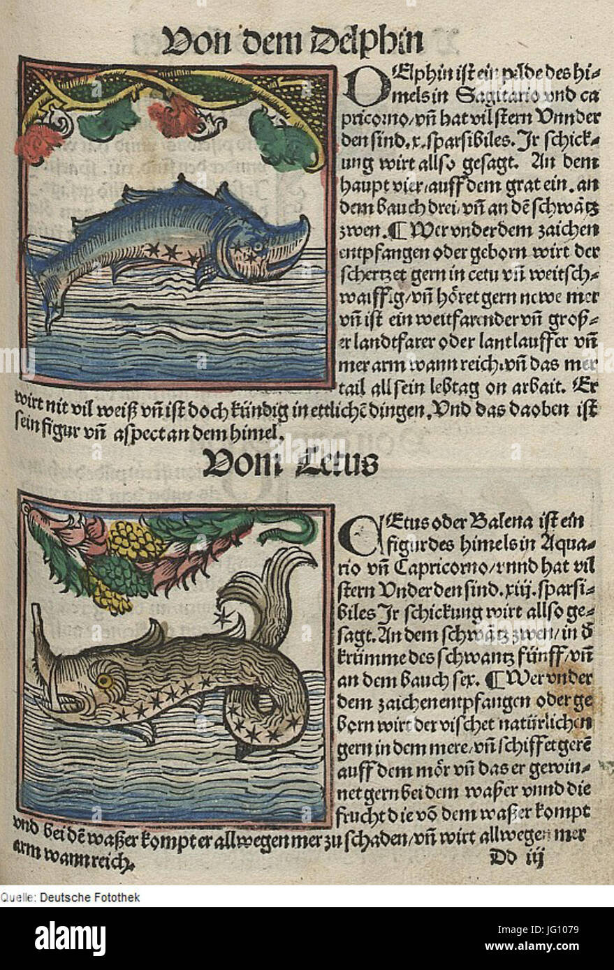 Fotothek df tg 0004452 Astronomie 5E Sternbild Foto Stock