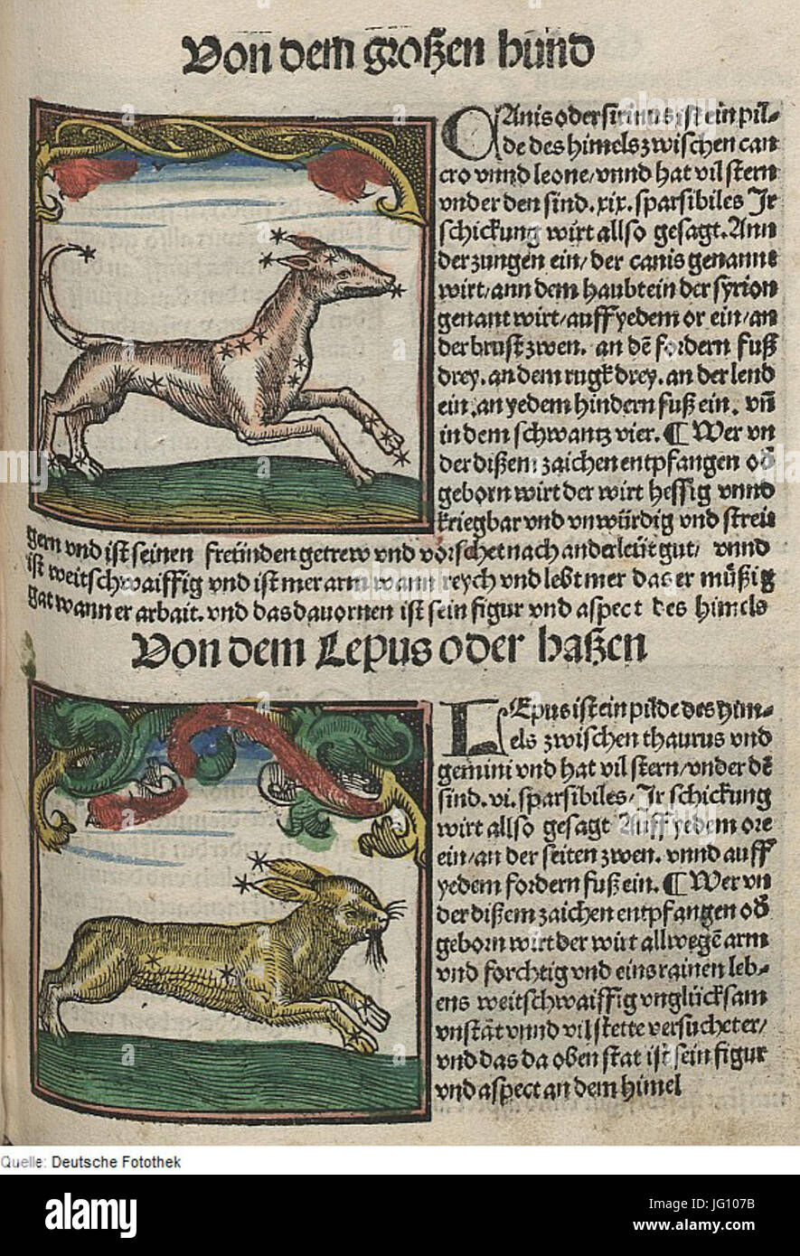 Fotothek df tg 0004454 Astronomie 5E Sternbild Foto Stock