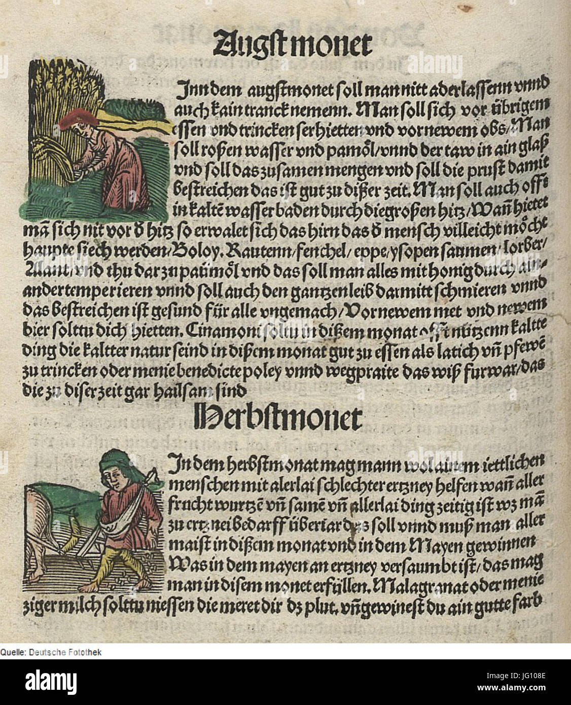 Fotothek df tg 0004476 Astronomie 5E Kalender 5E Monat 5E Symbol Foto Stock