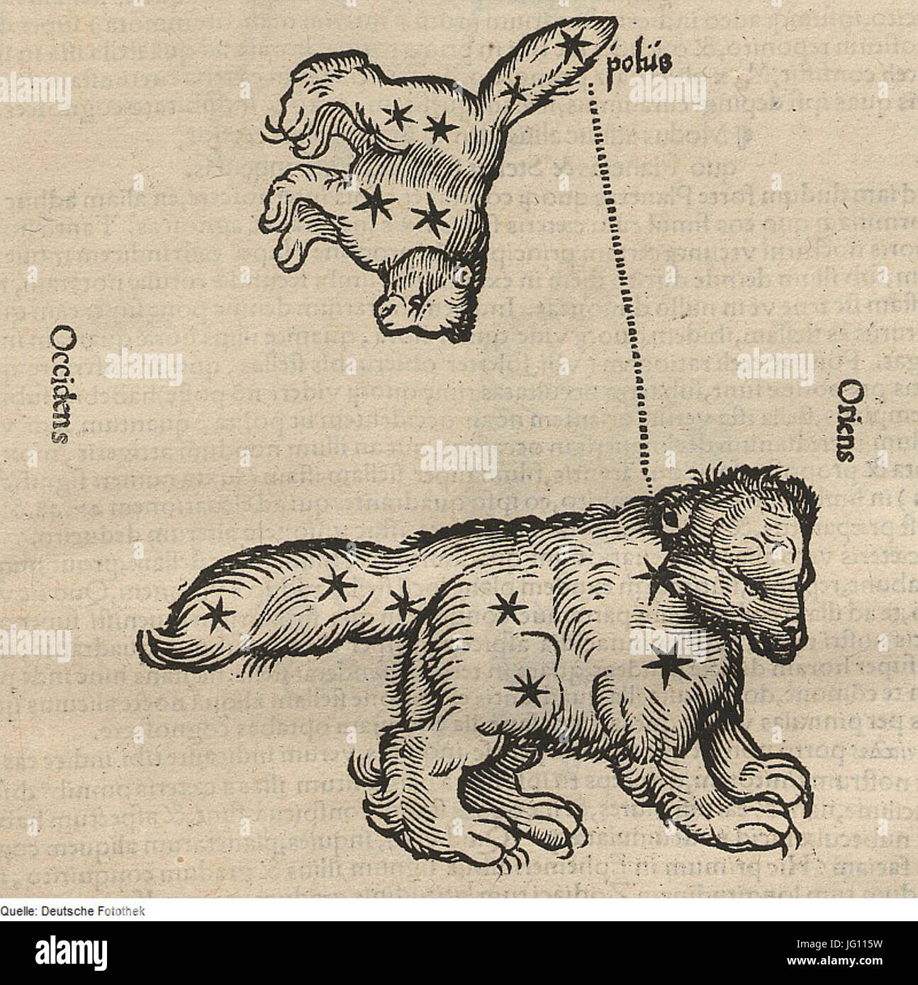 Fotothek df tg 0005067 Astronomie 5E Gestirn 5E Sternbild Foto Stock