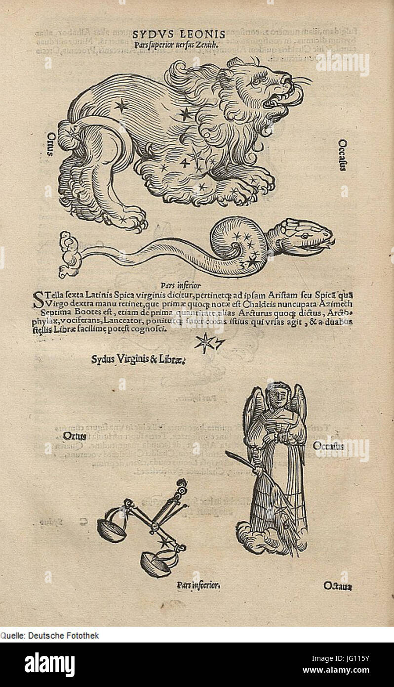 Fotothek df tg 0005069 Astronomie 5E Gestirn 5E Sternbild Foto Stock