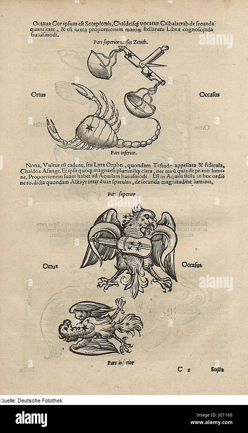 Fotothek df tg 0005070 Astronomie 5E Gestirn 5E Sternbild Foto Stock