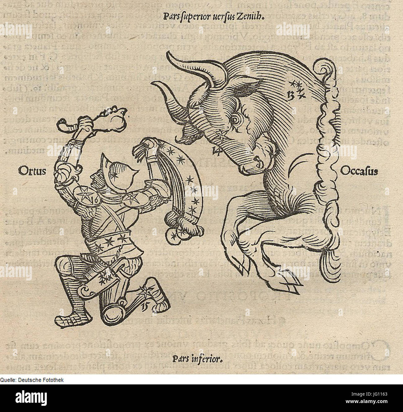 Fotothek df tg 0005072 Astronomie 5E Gestirn 5E Sternbild Foto Stock