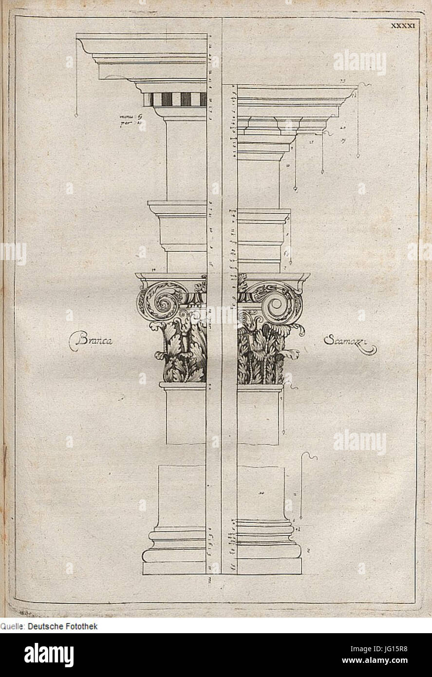 Fotothek df tg 0008021 Architektur 5E Säulenordnung 5E Säule 5E base 5E Kapitell 5E Gebälk 5e patatine fritte 5E Faszie Foto Stock