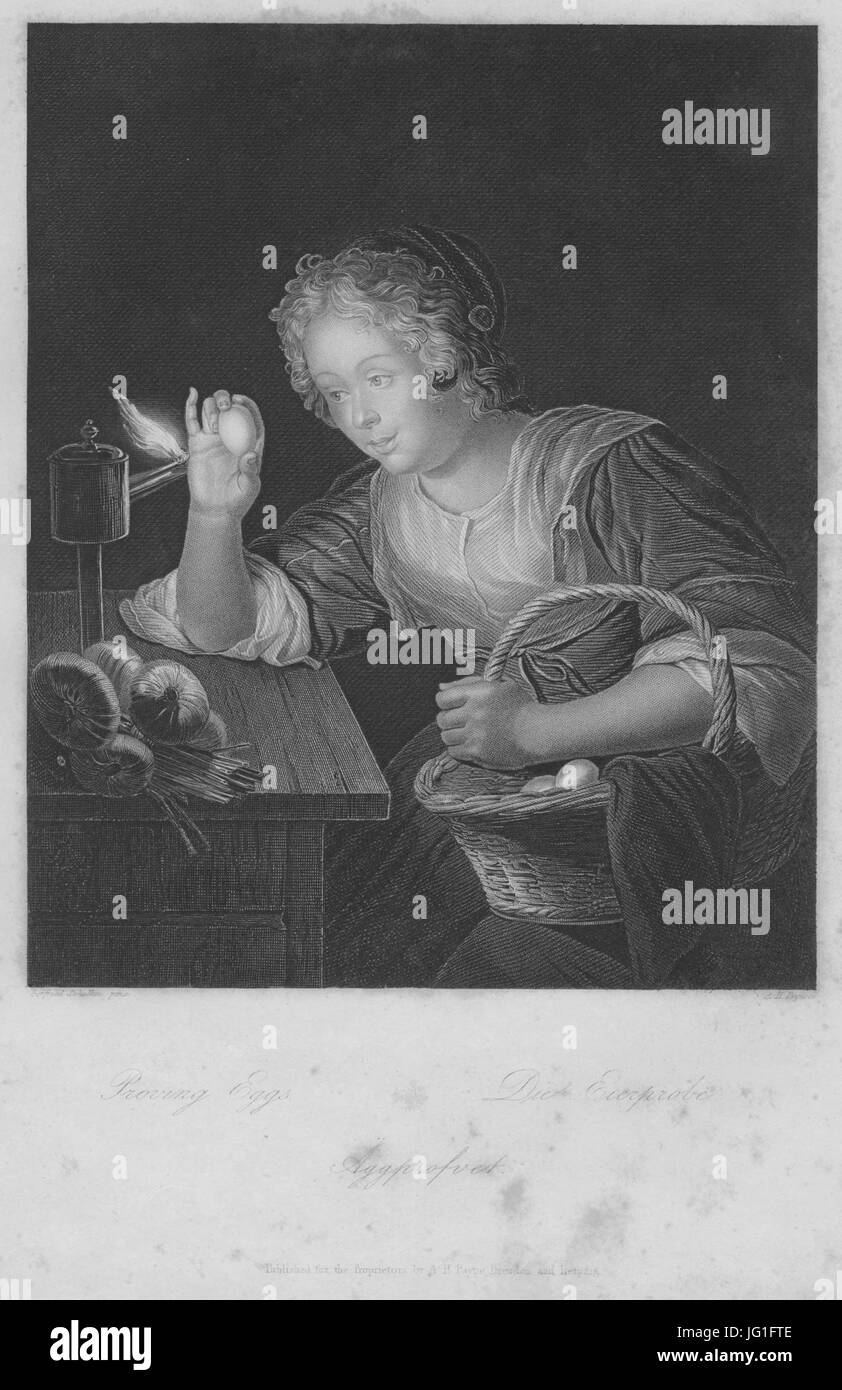 Gemäldegalerie Alte Meister (Dresda) Galeriewerk Payne 023 Foto Stock