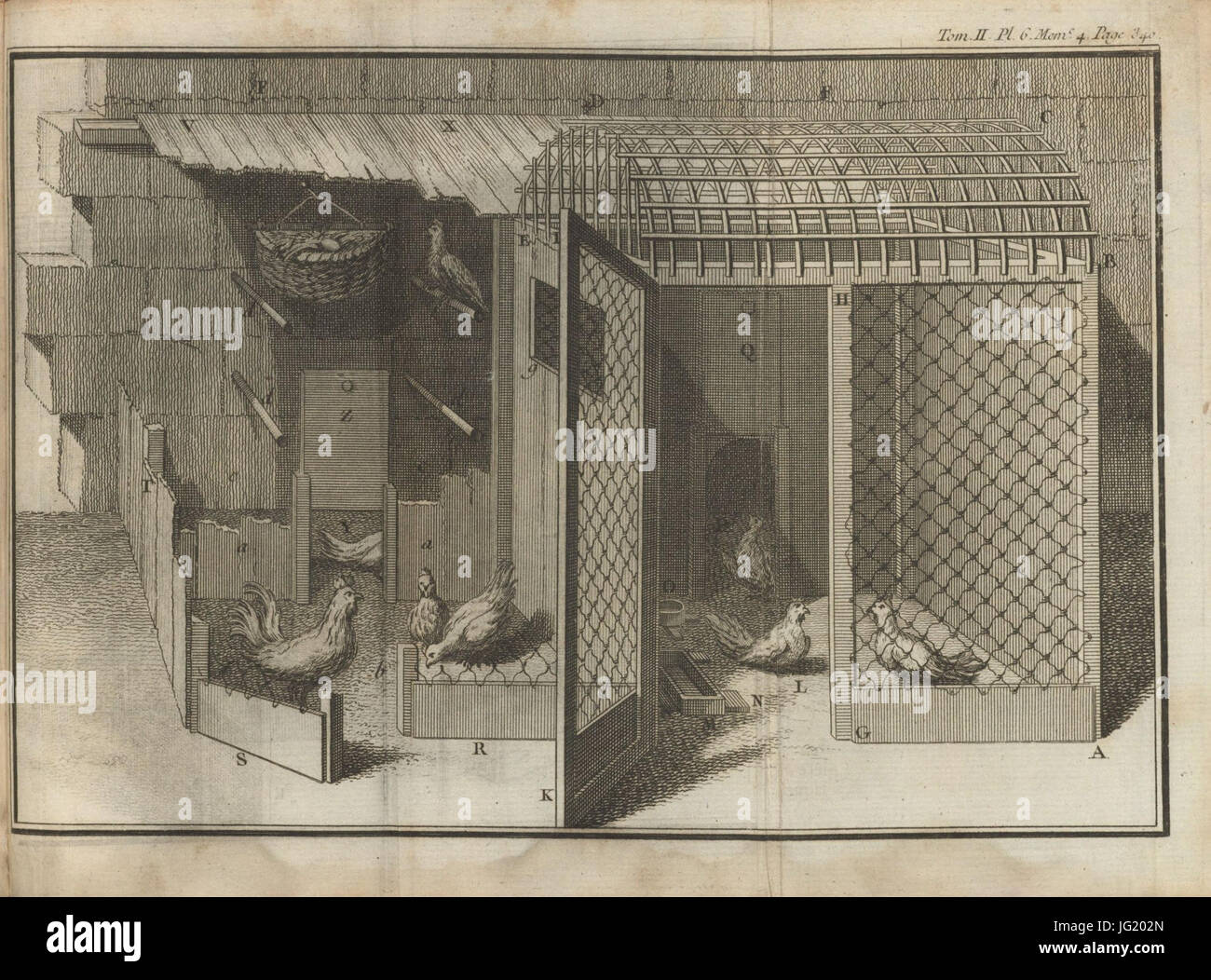 Houghton Typ 715.49.734 - Réaumur, PL 6 Foto Stock