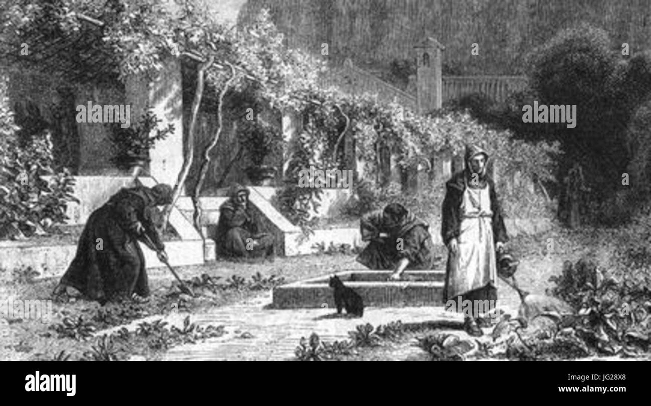 Jardin de vigne à Saint-Hilaire Ménerbes Foto Stock