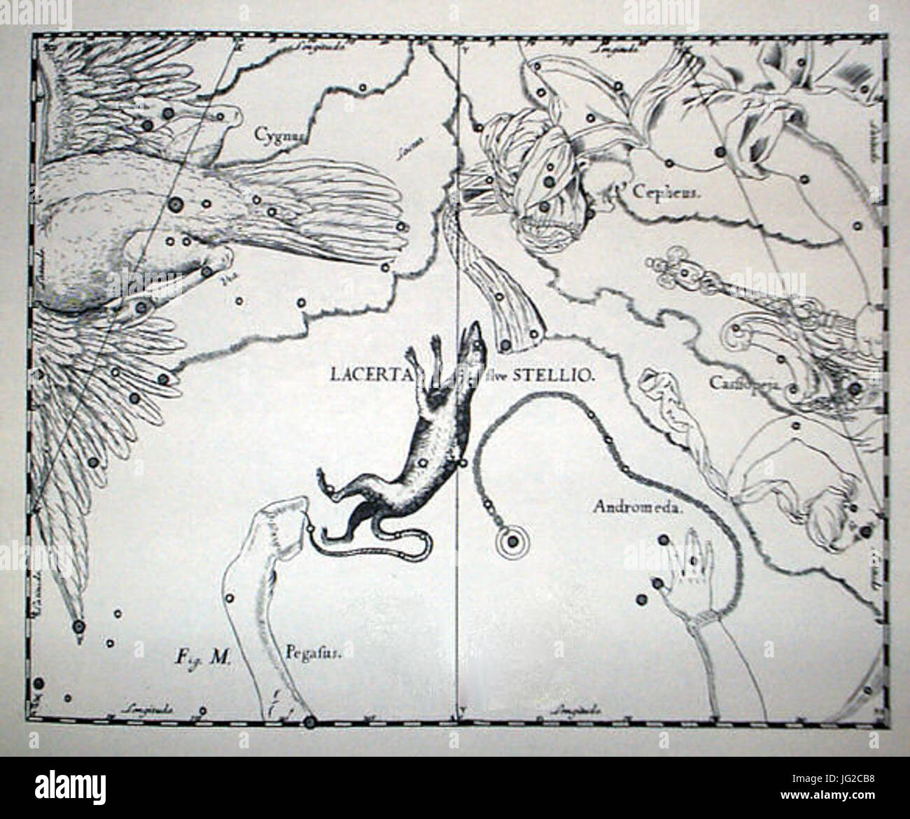 Johannes Hevelius - Prodromus Astronomia - Volume III Firmamentum sobiescianum sive Uranographia - Tavola M - Lacerta sive stellio Foto Stock