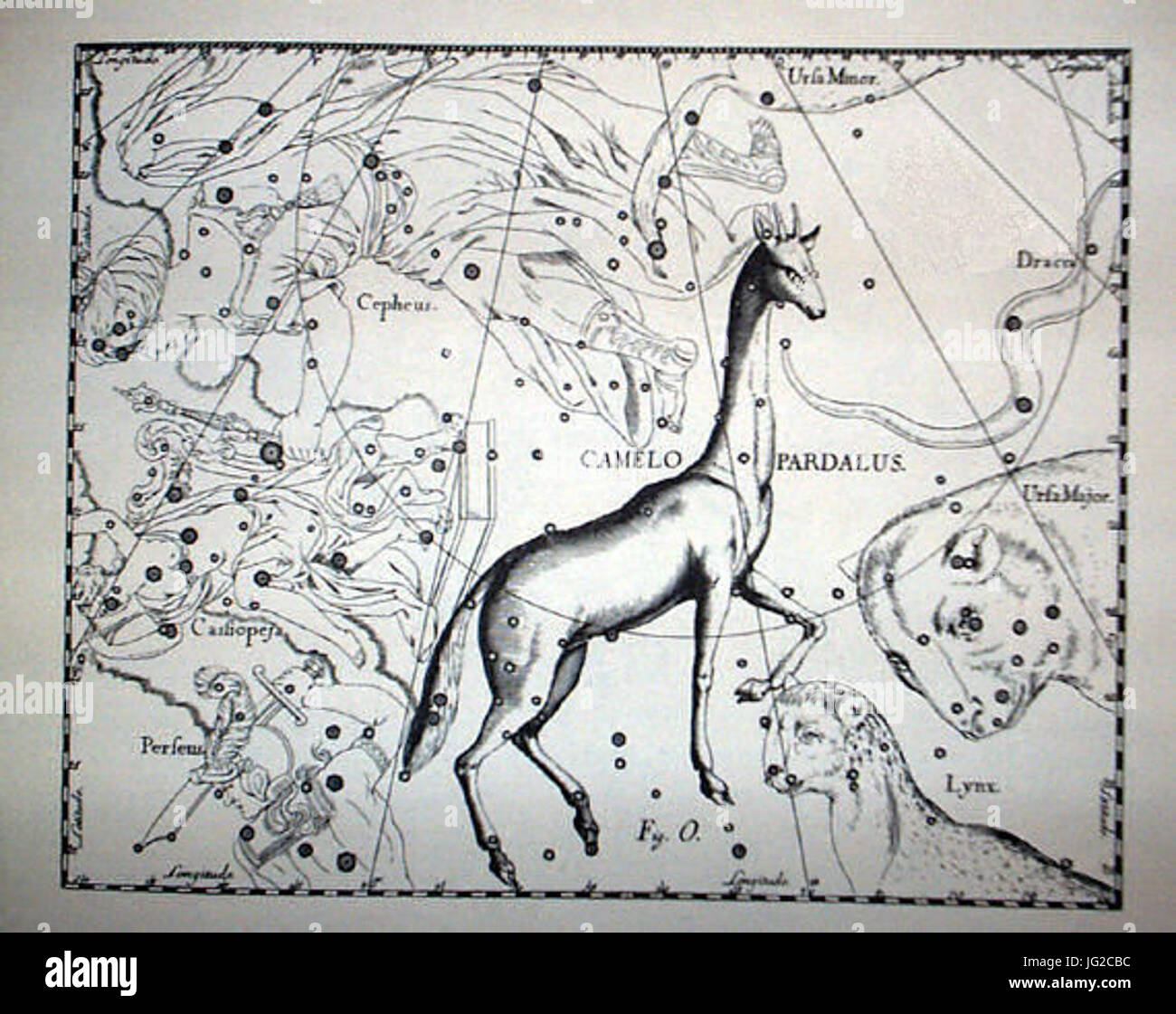 Johannes Hevelius - Prodromus Astronomia - Volume III Firmamentum sobiescianum sive Uranographia - Tavola O - Camelopardalus Foto Stock