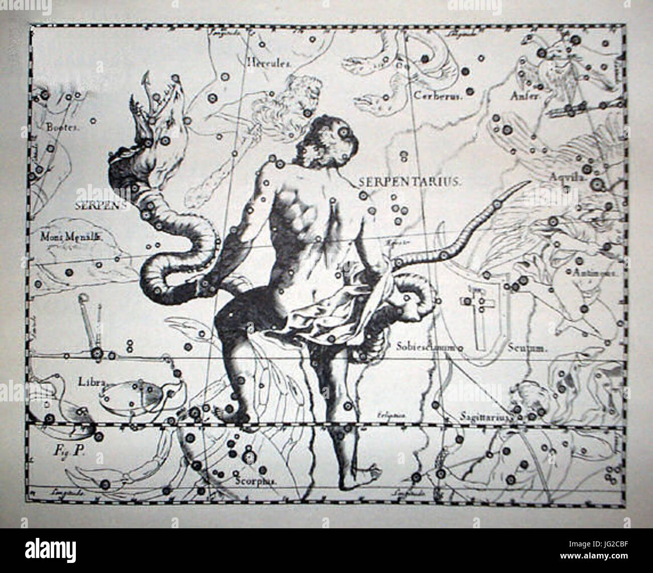 Johannes Hevelius - Prodromus Astronomia - Volume III Firmamentum sobiescianum sive Uranographia - Tavola P - Serpens et Serpentarius Foto Stock