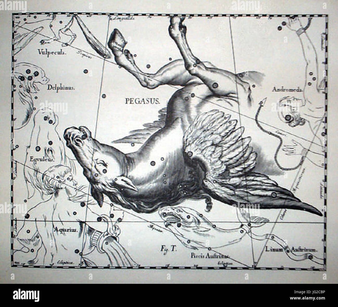 Johannes Hevelius - Prodromus Astronomia - Volume III Firmamentum sobiescianum sive Uranographia - Tavola T - Pegasus Foto Stock