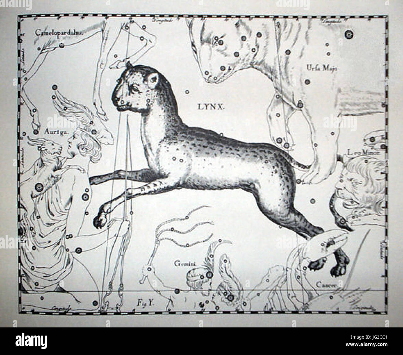 Johannes Hevelius - Prodromus Astronomia - Volume III Firmamentum sobiescianum sive Uranographia - Tavola Y - Lynx Foto Stock