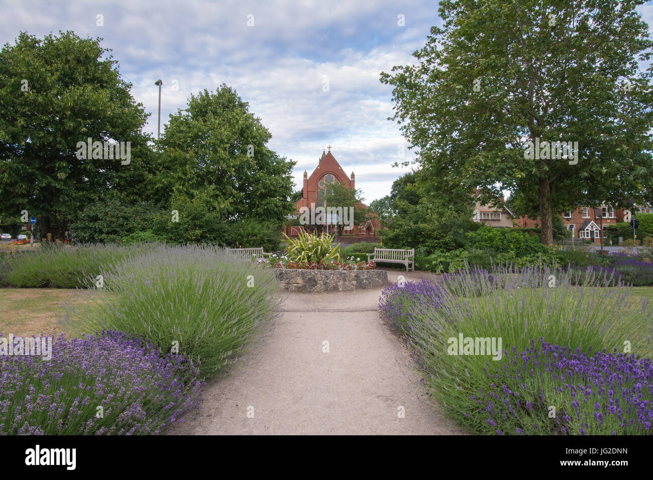 San Marco Chiesa a Farnborough, Hampshire, Regno Unito, in estate con fiori di lavanda in primo piano Foto Stock