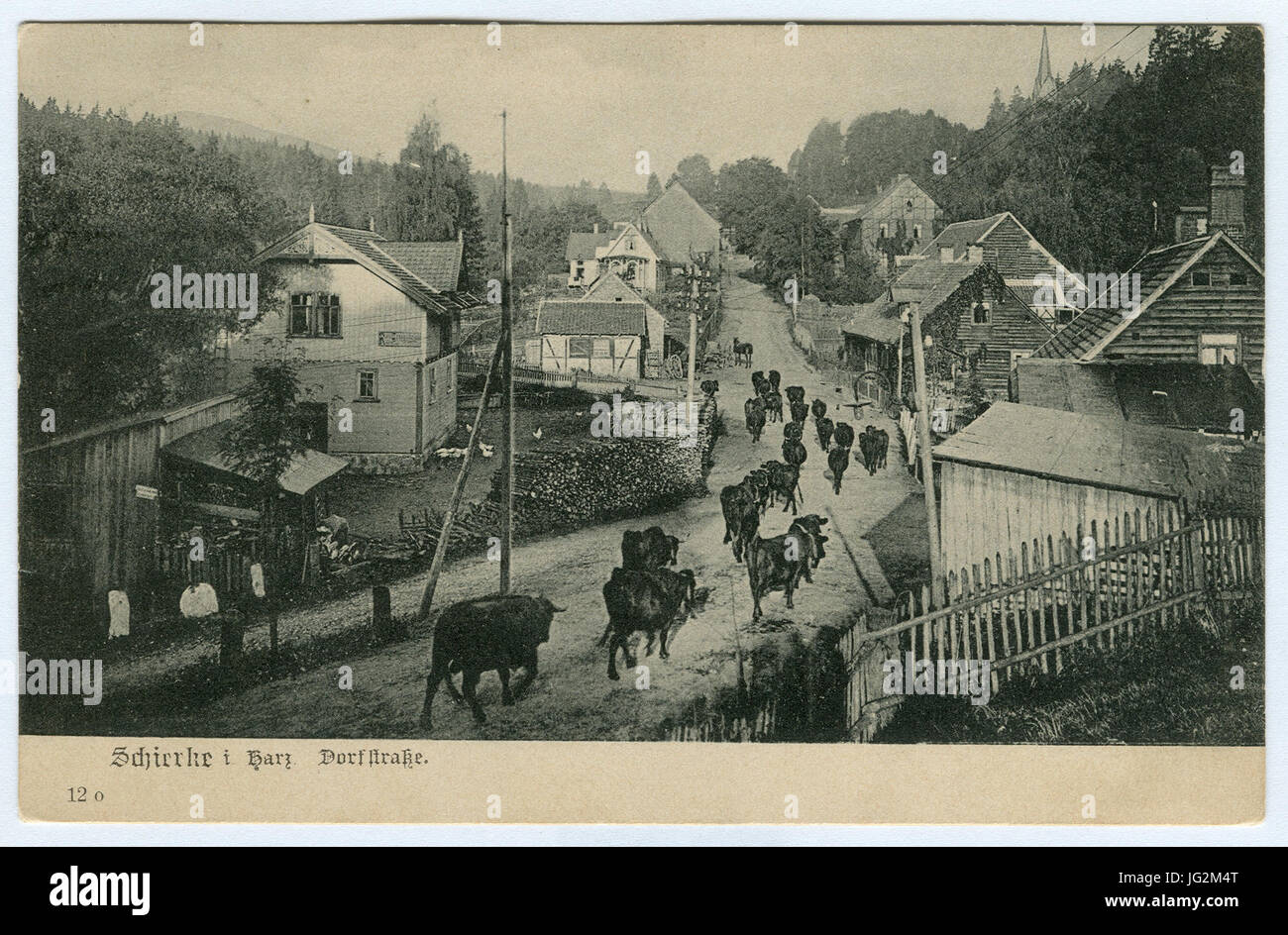 Karl F. Wunder 0012PC o Schierke i. Harz. Dorfstraße. Ansichtsseite Foto Stock