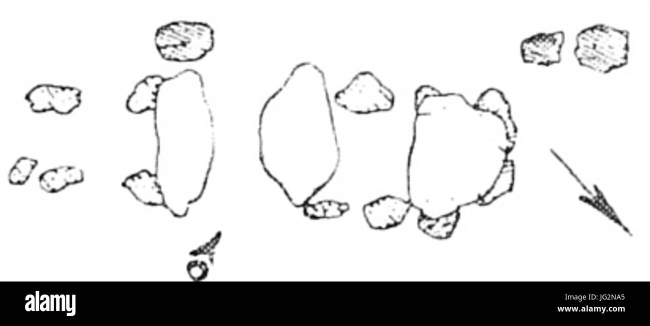 Una pianta della tomba megalitica a Diesdorf, risalente all'epoca preistorica. Questo documento illustra la struttura e il design del sito di sepoltura. Foto Stock