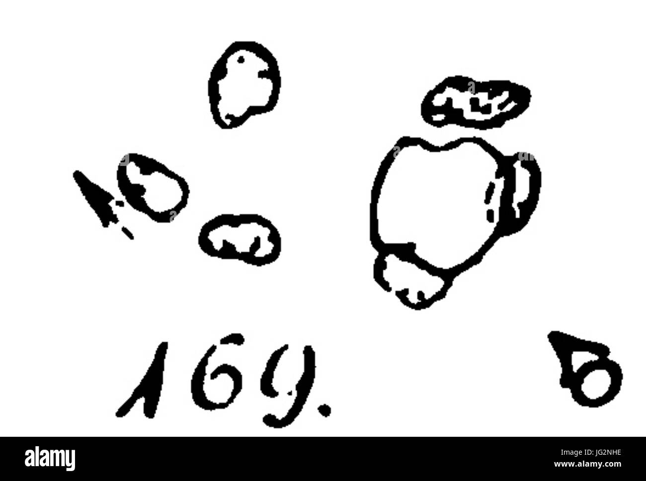 Großsteingrab Immekath 1 Krause Schoetensack Plan Foto Stock