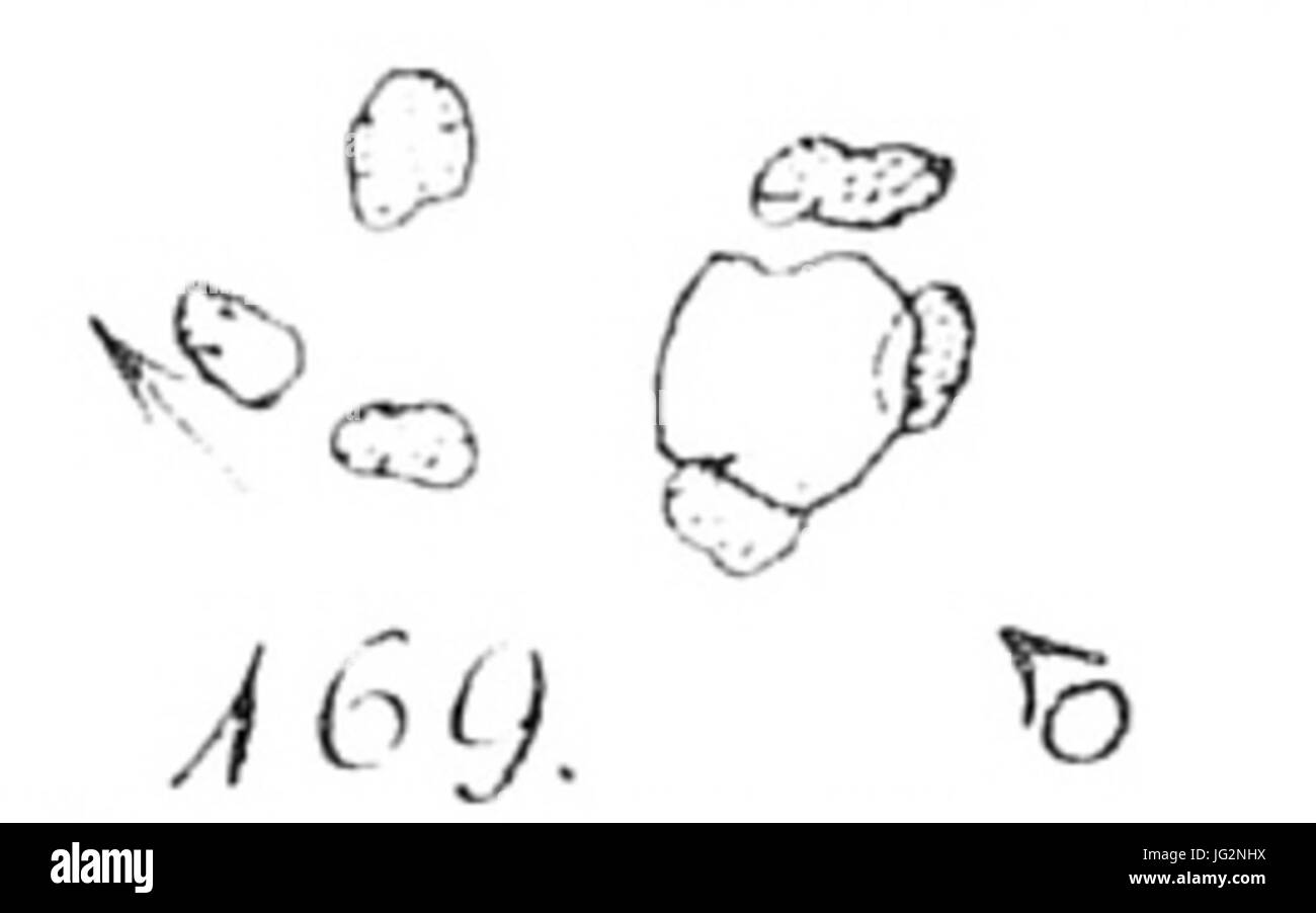 Großsteingrab Immekath 1a Krause Schoetensack Plan Foto Stock