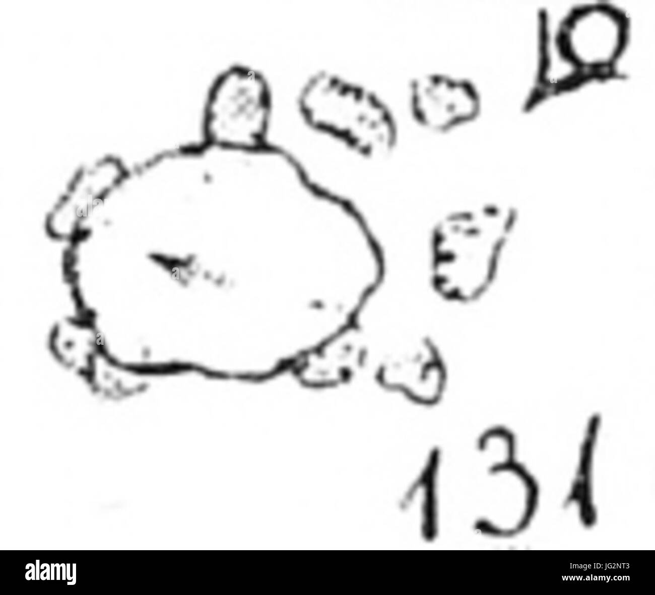 Großsteingrab Lüdelsen 1 Krause Schoetensack Plan Foto Stock