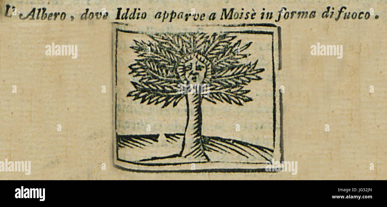 L'Albero, Colomba Iddio apparve un Moisè in forma di fuoco - Bianco Noe - 1601 Foto Stock