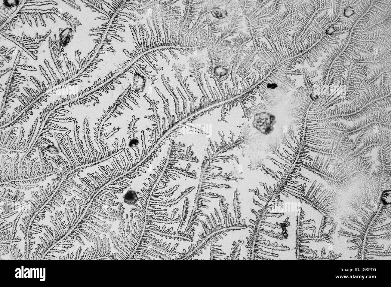 Riprese al microscopio che mostra una configurazione astratta di microcristalli Foto Stock