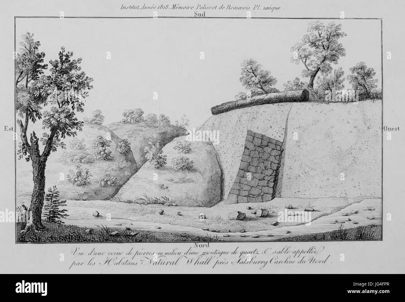 M oires de l'Académie des sciences, tomo 3, Pl. 1 Foto Stock