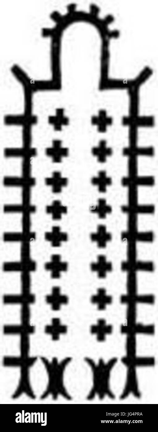 Münster piano di Berna Foto Stock