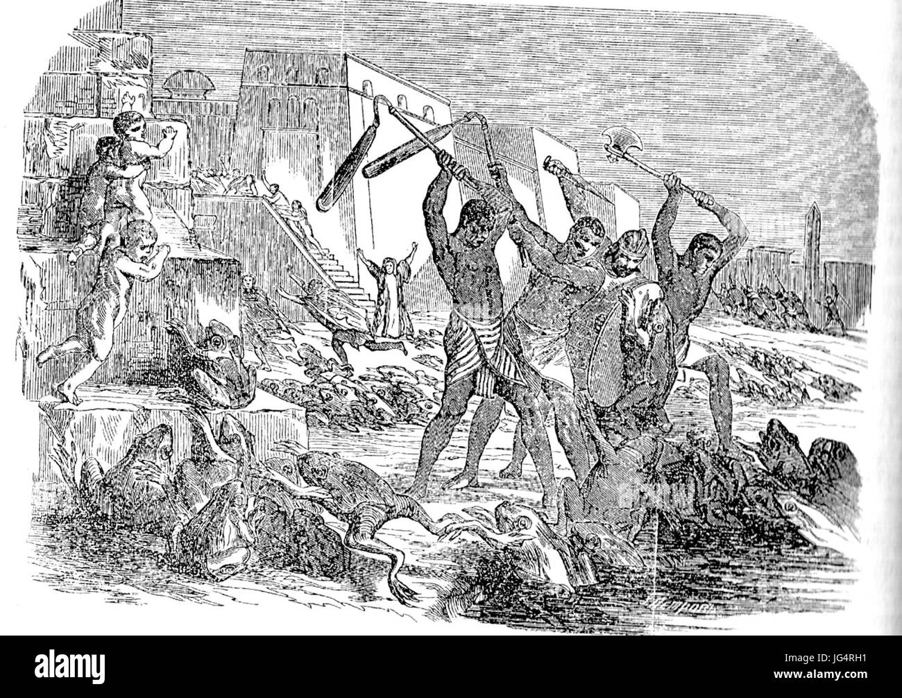 Peste di rane Foto Stock