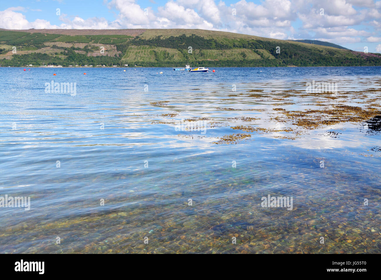 Guardando sul Loch Fyne, a sud di Inveraray, Argyll and Bute, Scozia Foto Stock