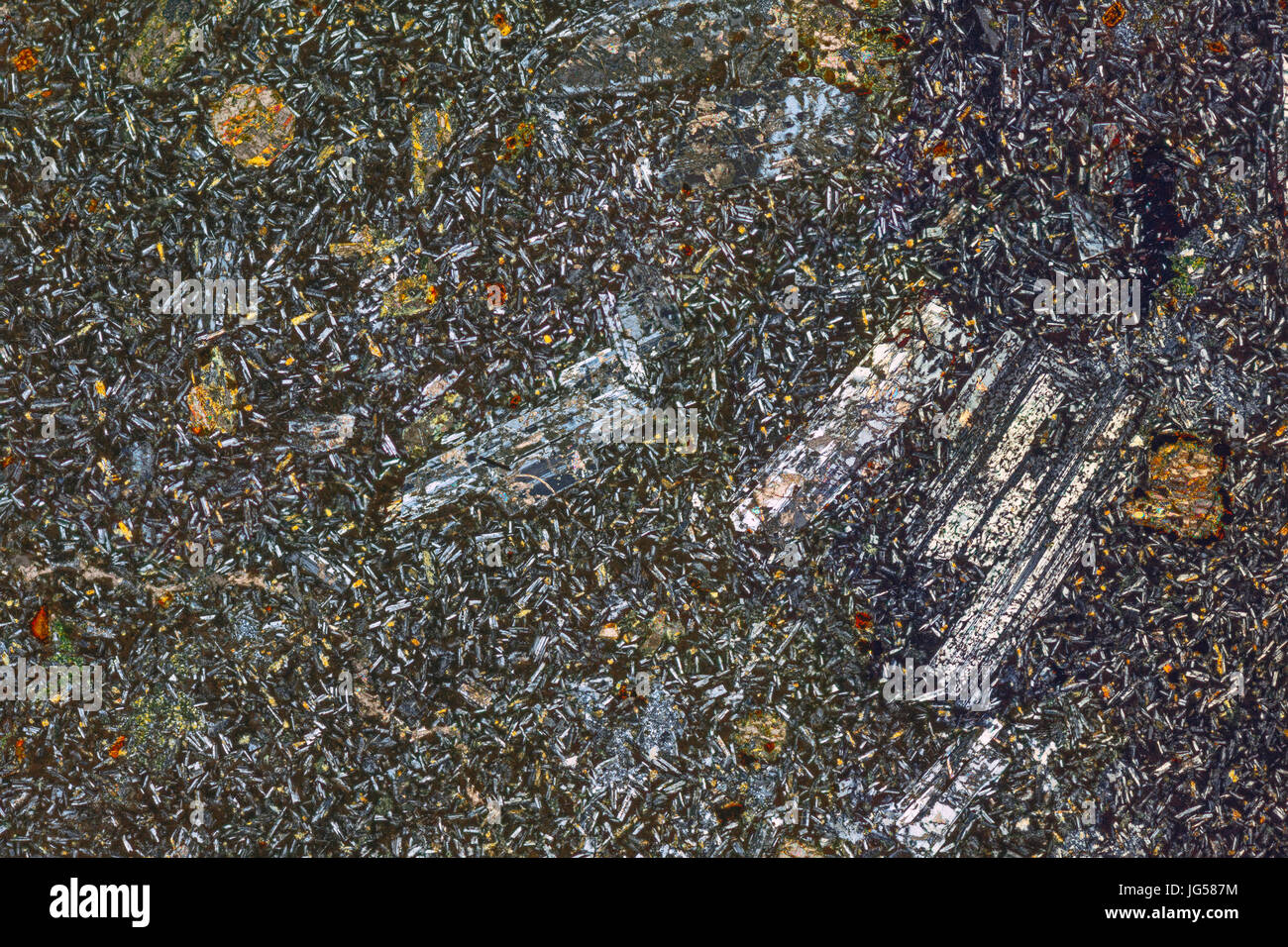 L'andesite, Somerset. Abbondanza di rocce vulcaniche con un groundmass di sub-millemeter cristalli di dimensioni. Principali plagioclase minerale. Pyroxines, ossidi di ferro, t Foto Stock