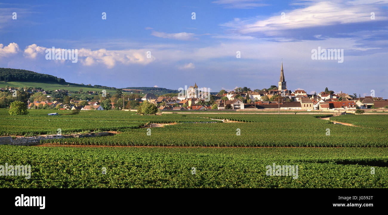 MEURSAULT Panorama vista del paesaggio del villaggio del vino di Meursault nel tardo pomeriggio di sole visto oltre Genevrières vigneto, Meursault Côte d'Or, Francia. Foto Stock