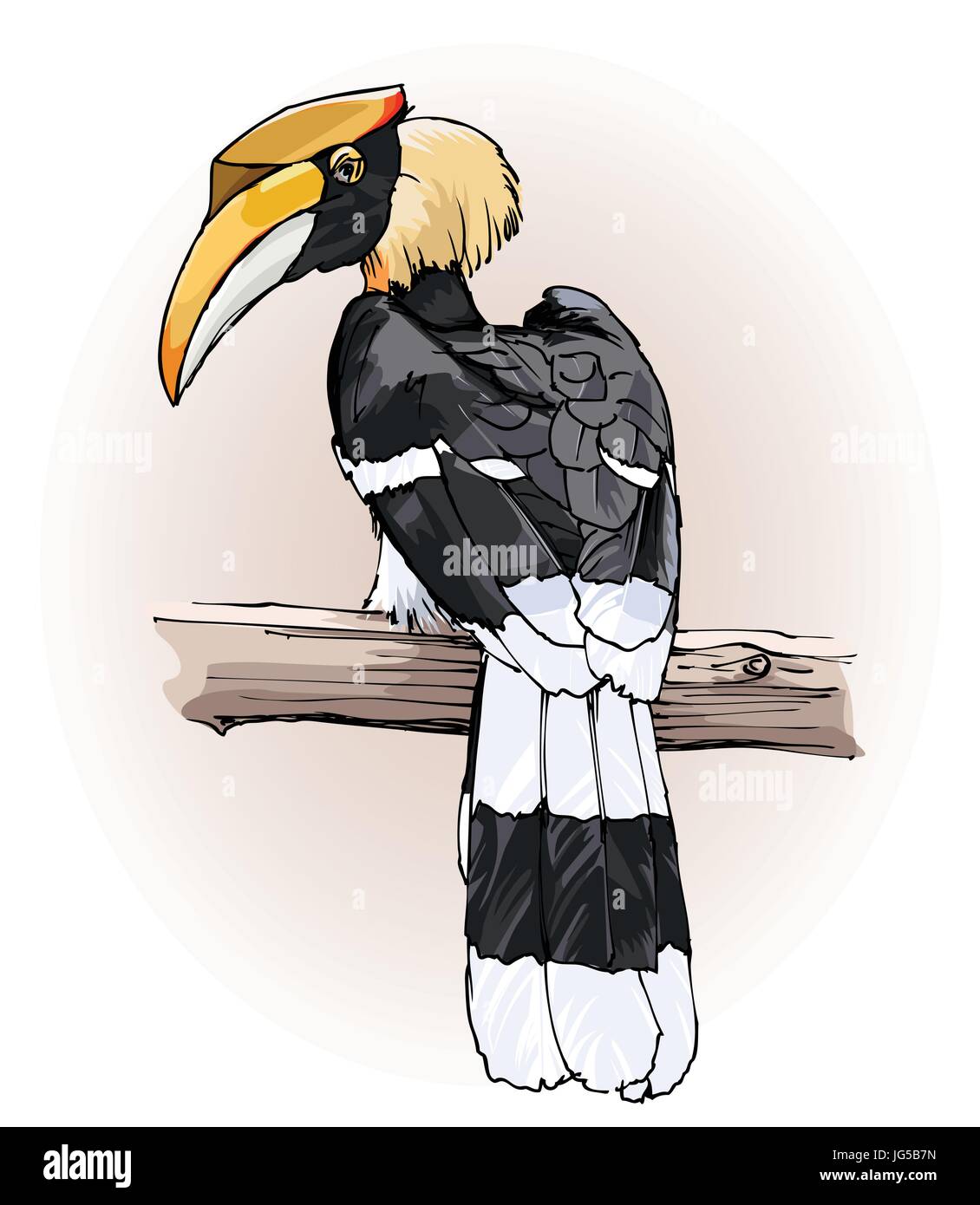 Rappresentazione di vettore di un disegno a mano grande hornbill Illustrazione Vettoriale