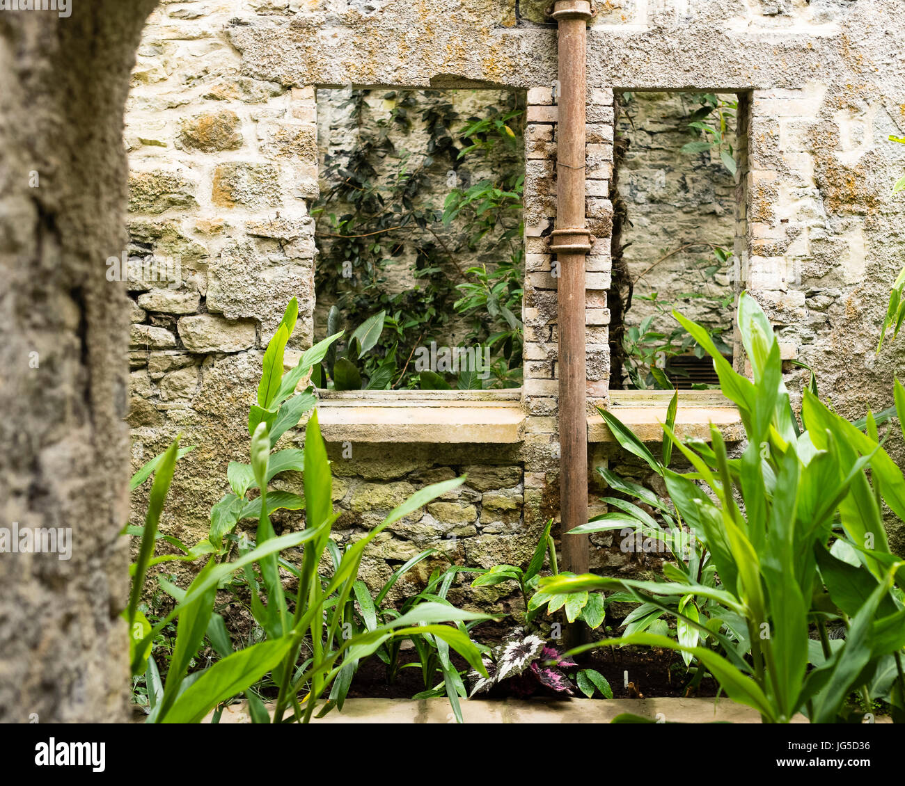 Subtropicale giardino interno a Aberglasney, Carmarthenshire, Wales, Regno Unito Foto Stock