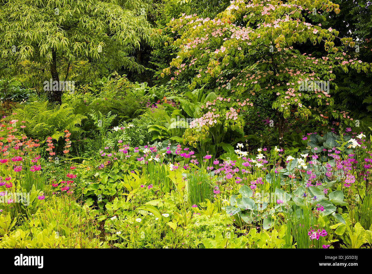 Parte del flusso Giardino a Aberglasney, Carmarthenshire, Wales, Regno Unito Foto Stock