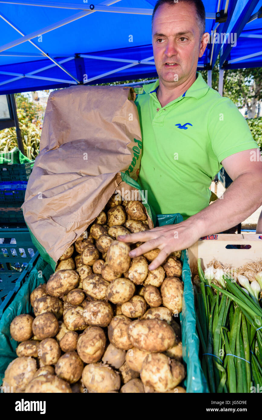 Negoziante versa 'pettinatore nuova' patate, il primo raccolto dell'anno da un sacco sul suo stallo in pettinatore come parte dell'annuale Sagra della Patata. Foto Stock