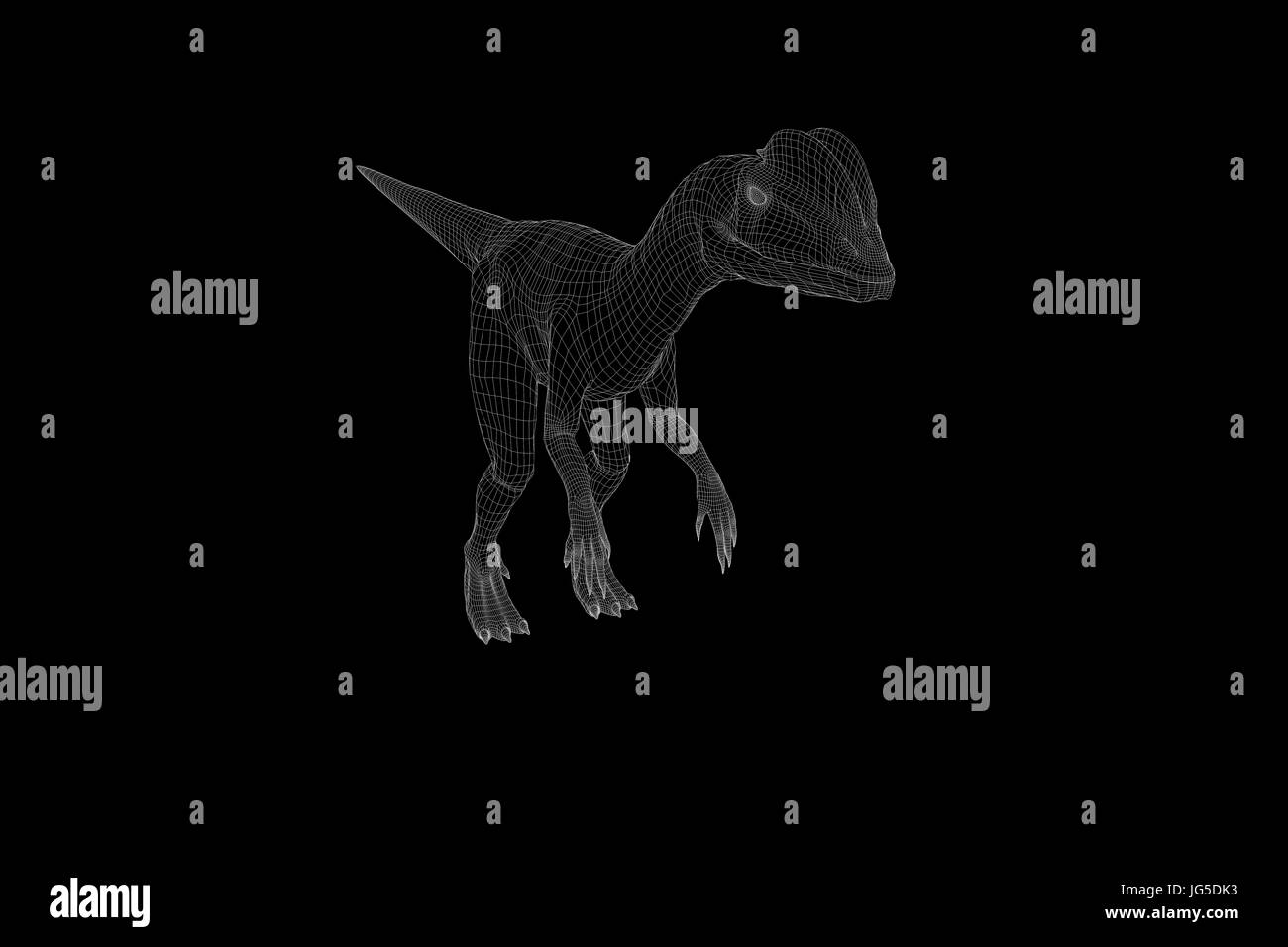 Dinosauro Dilophosaurus in ologramma stile Wireframe. Bello il rendering 3D Foto Stock