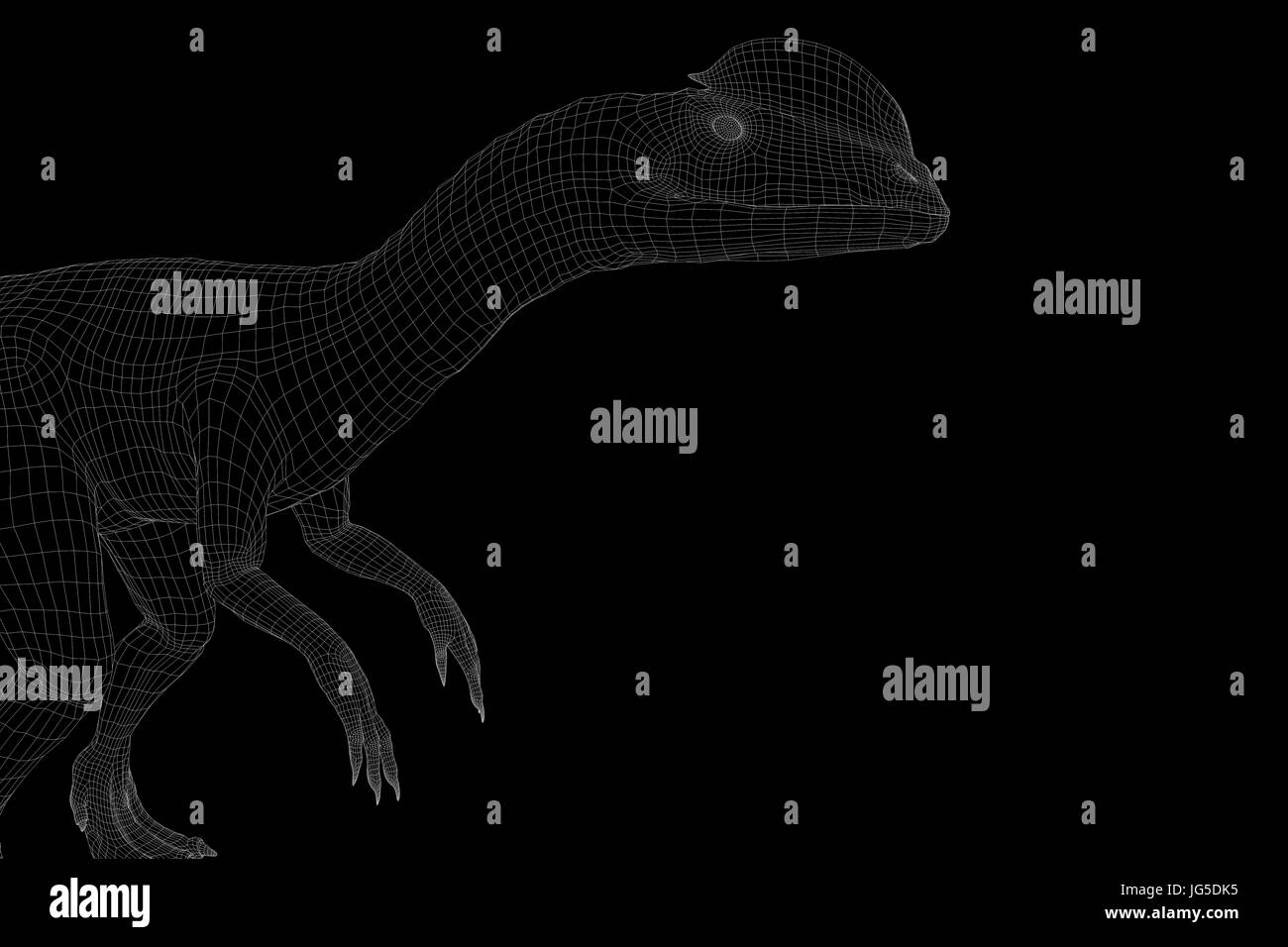 Dinosauro Dilophosaurus in ologramma stile Wireframe. Bello il rendering 3D Foto Stock