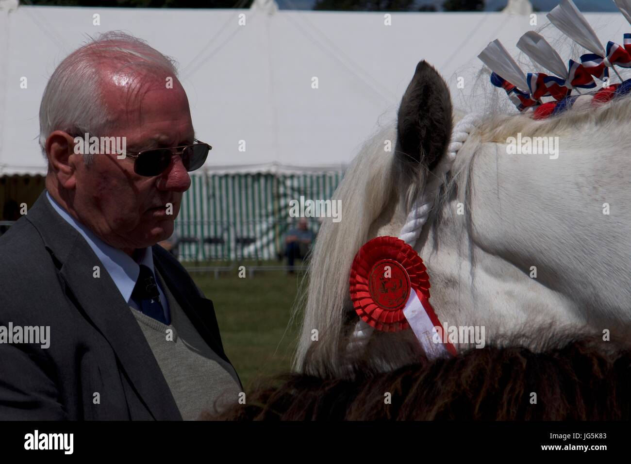 Uomo con premio cavallo a Malton Visualizza, Malton, North Yorkshire, Regno Unito Foto Stock