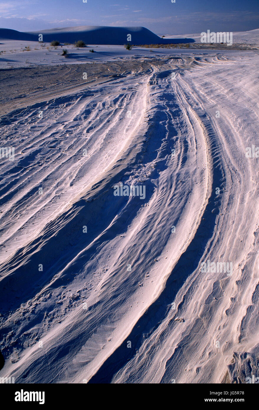 Interdune binario piatto a backcountry camp loop, White Sands National Monument, Nuovo Messico Foto Stock