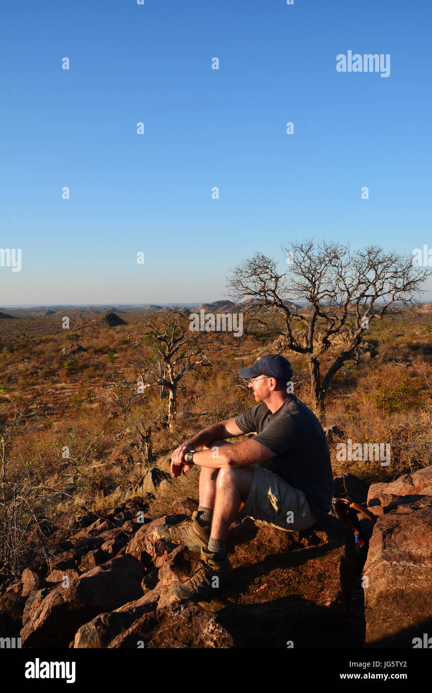 Un volontario si appoggia sulla cima di un kopje e si affaccia sul panorama al tramonto nel deserto boccola del Botswana, Africa. Foto Stock