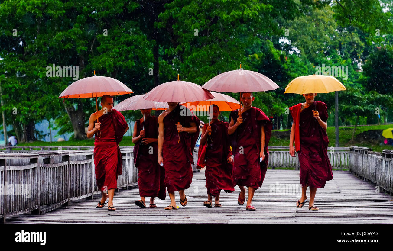I monaci birmani a Kandawyggi Park, Yangon, Myanmar Foto Stock
