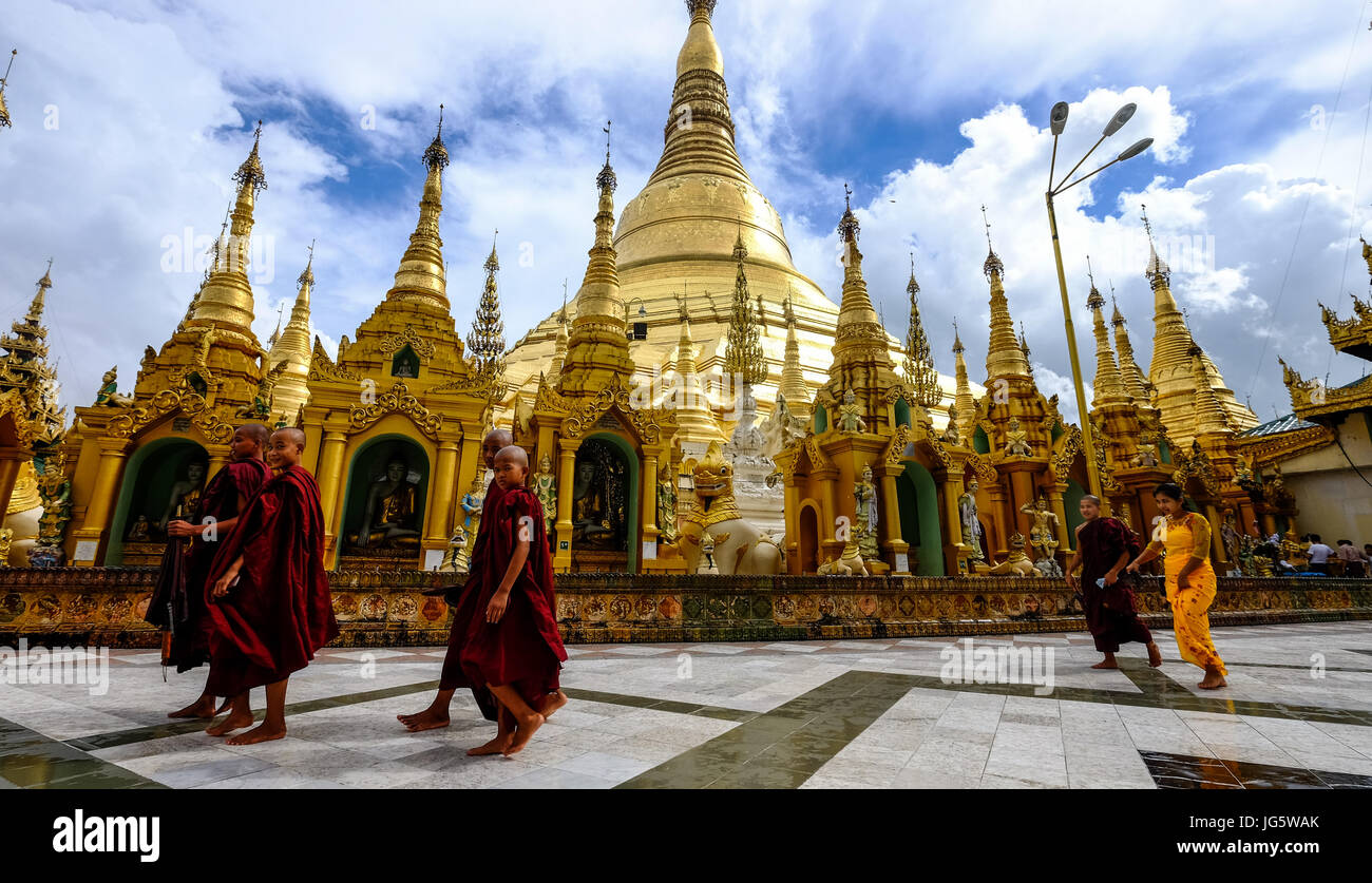 I monaci birmani a Shwedagon pagoda Yangon, Myanmar Foto Stock