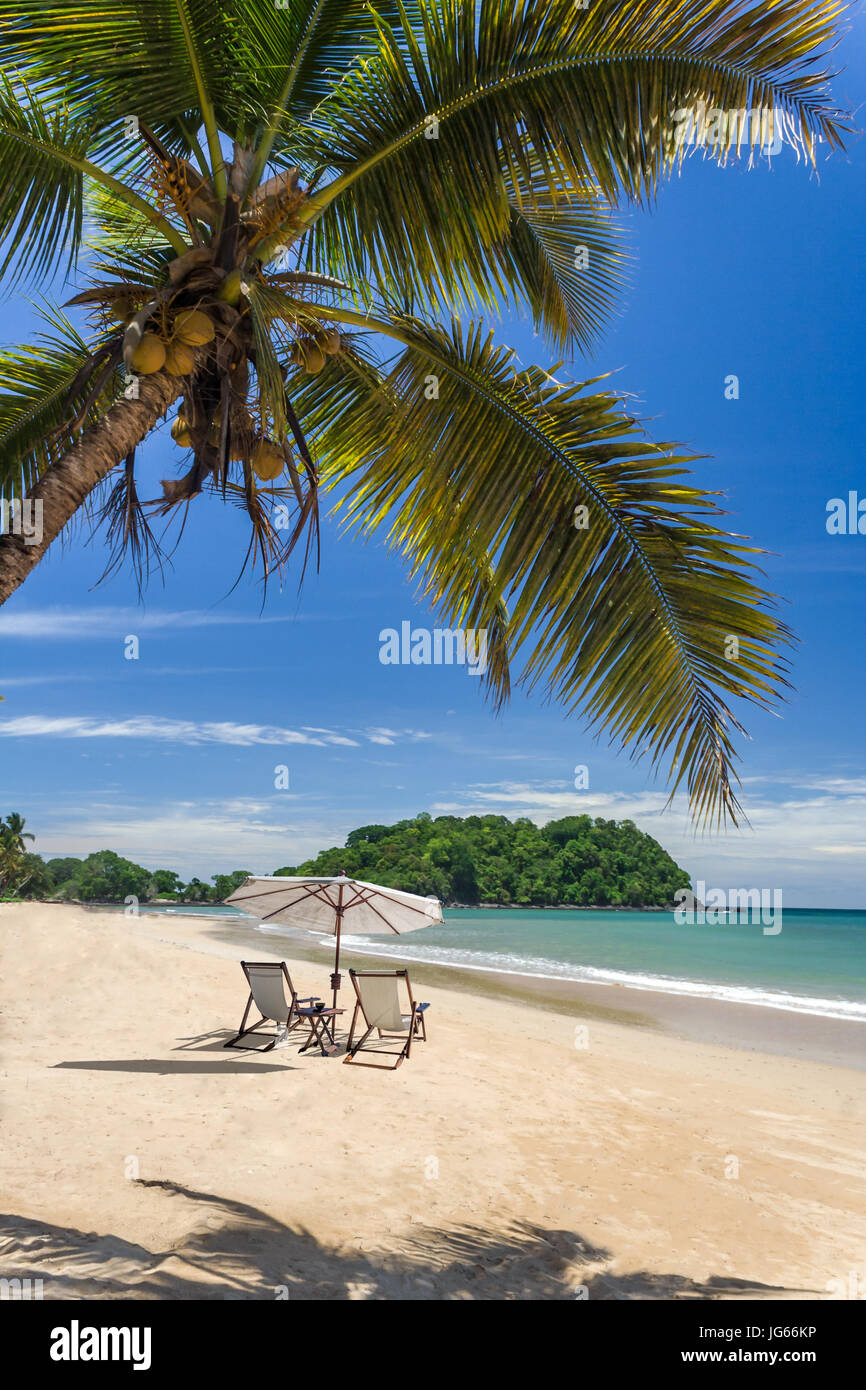 Bellissima spiaggia sabbiosa tropicale con palme e sedie a sdraio Foto Stock