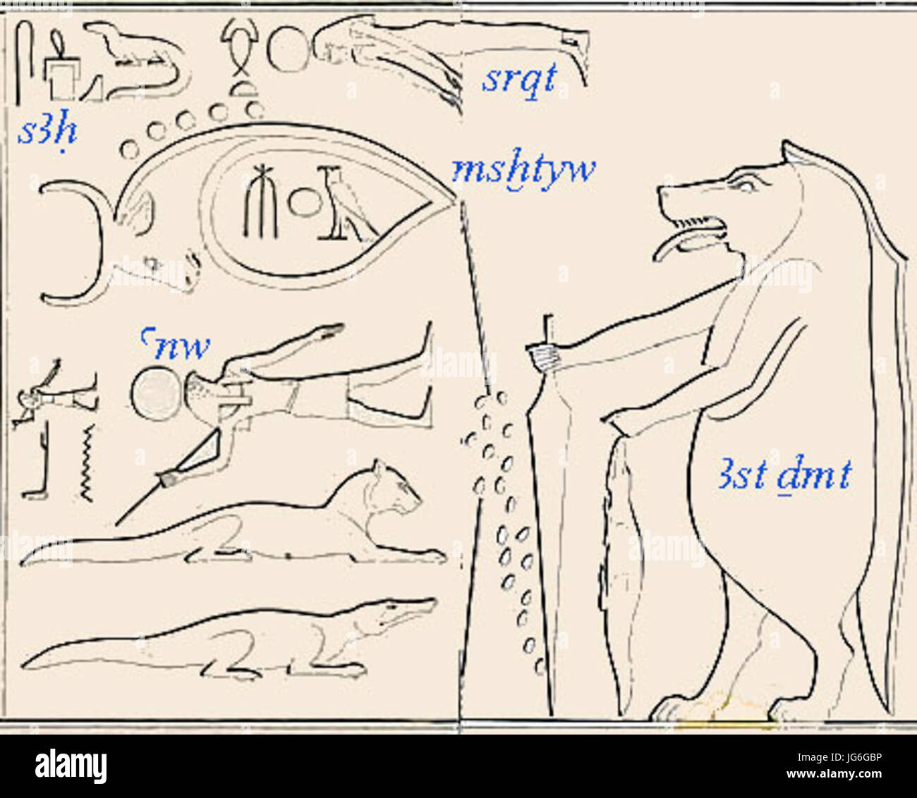 Ramesseum-lepsius-III-170-détails-costellazioni Foto Stock