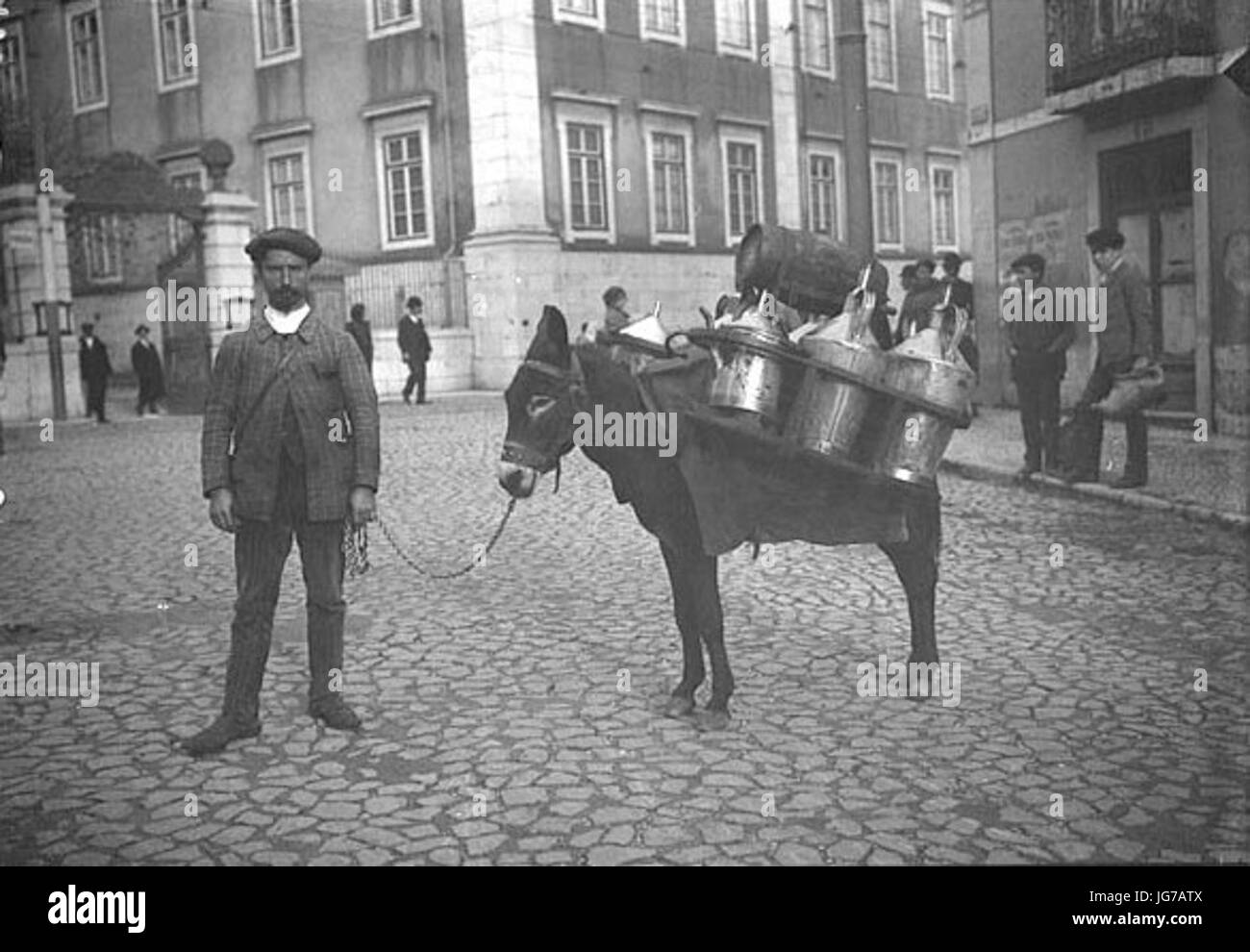 Marchand d huile a Lisbonne 28âne en profil29 Foto Stock