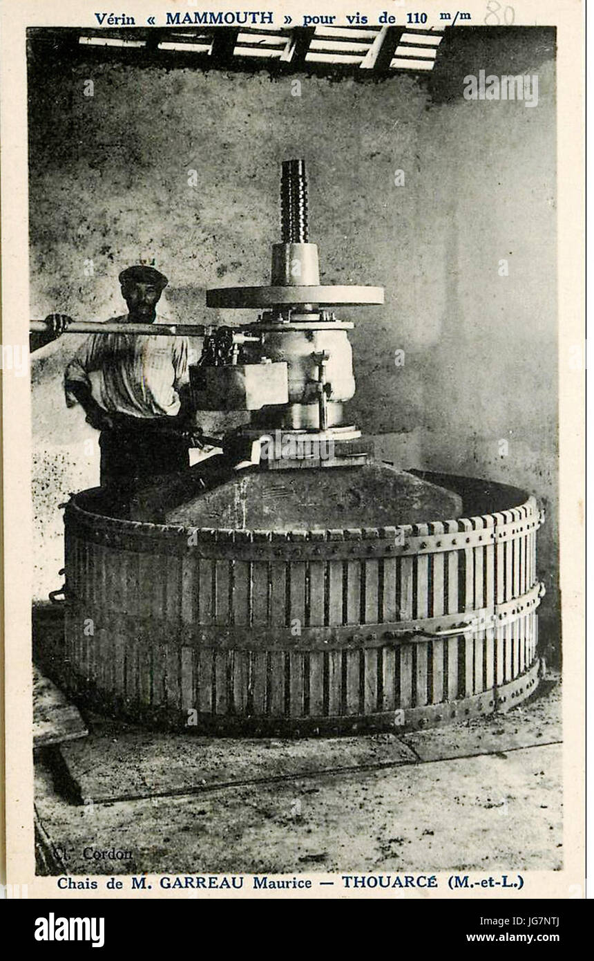 Pressoir Thouarcé en action Foto Stock
