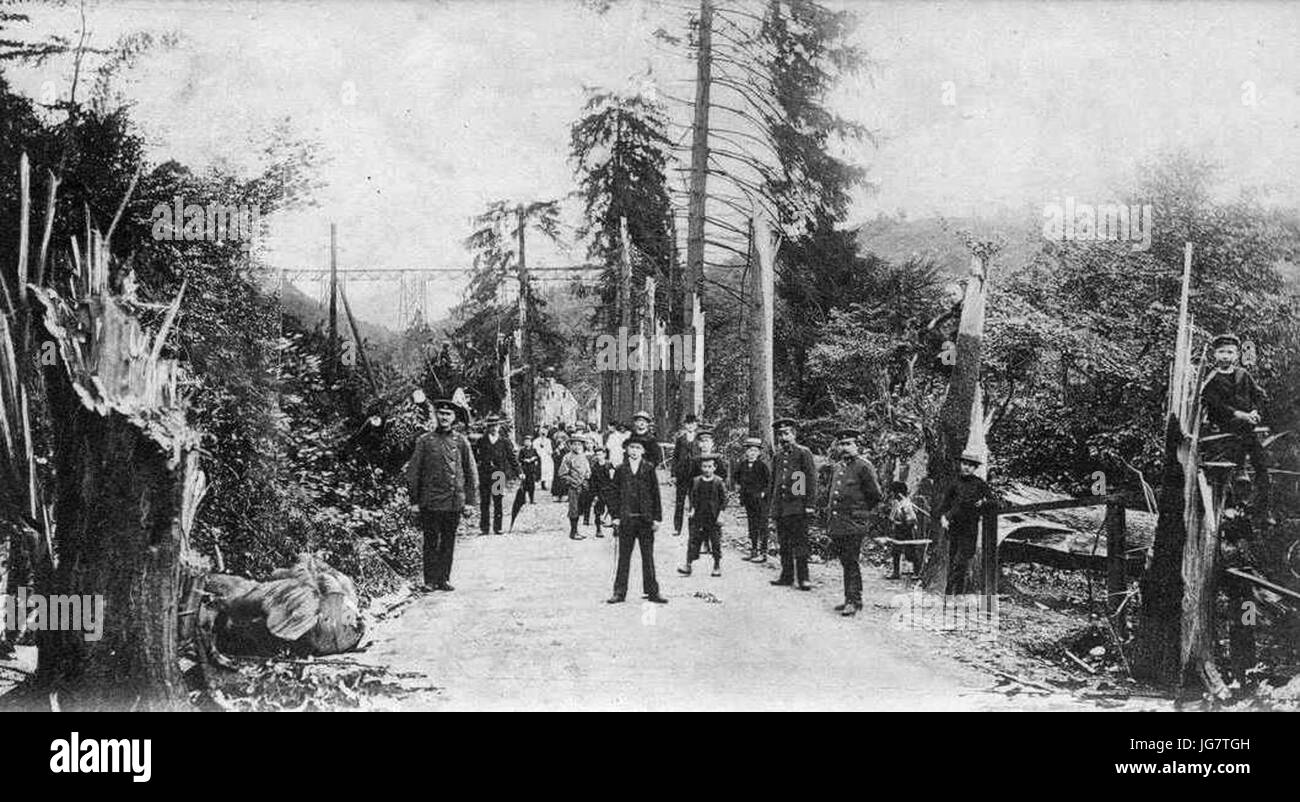 Alberi rotto dalla tempesta di Müngsten 1906 Foto Stock