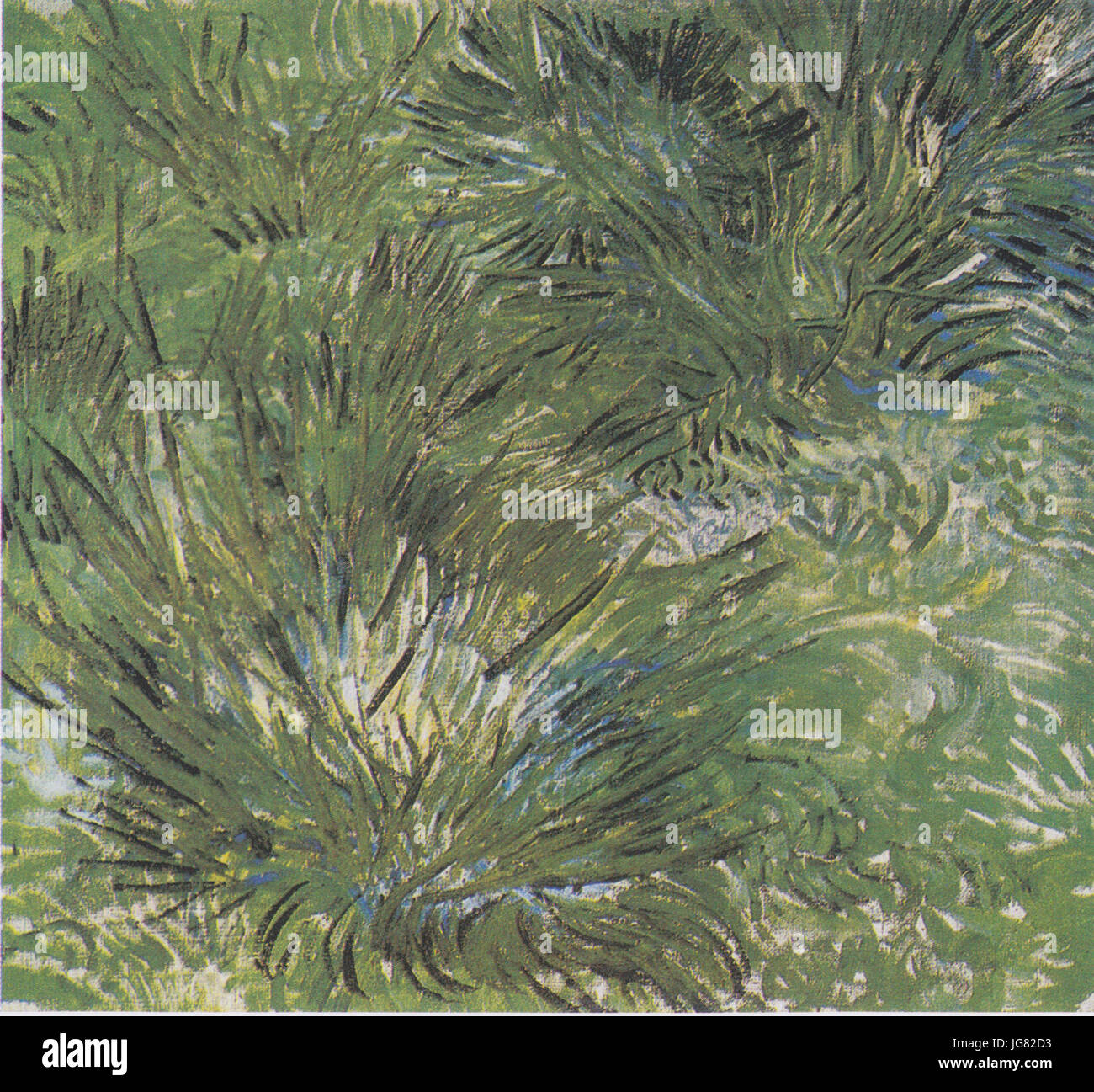 Van Gogh - Grasbüschel Foto Stock
